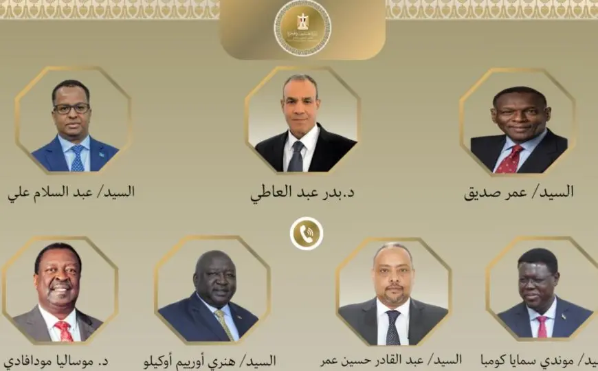 وزير الخارجية ونظرائه الأفارقة يبحثون التعاون الاقتصادي والأمن المائي ودور الاتحاد الإفريقي في السلم والاستقرار