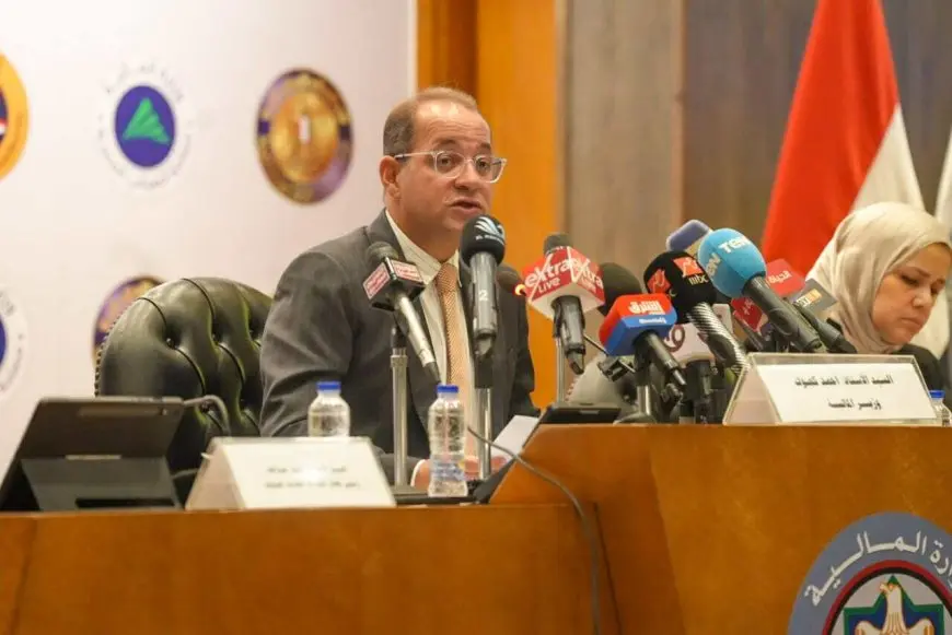 وزير المالية: نمو متسارع في الاستثمار الأجنبي المباشر بقطاع الطاقة