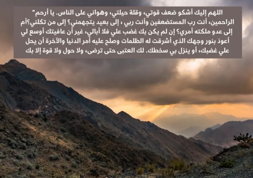 المولد النبوي.. قصة دعاء النبي في الطائف الذي صار ملاذا للمكروبين عبر العصور