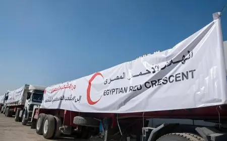الهلال الأحمر المصري يدفع بأكثر من 2700 طن مساعدات إنسانية عاجلة قافلة «زاد العزة» الـ 27 إلى غزة