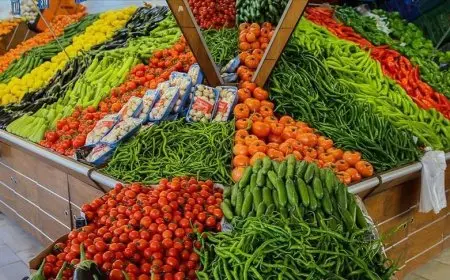 الاثنين 1 سبتمبر 2025.. أسعار الخضروات والفاكهة بسوق العبور للجملة اليوم