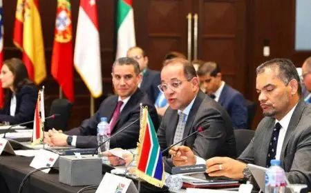وزير المالية يعرض الأولويات المصرية لتحقيق الأمن الغذائي في اجتماع مجموعة العشرين