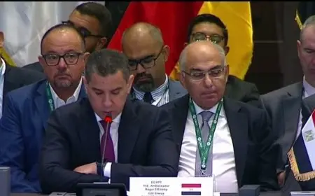 ممثل رئيس الجمهورية بمجموعة العشرين: الجوع يُستَخدم كسلاح لكسر صمود الشعب الفلسطيني