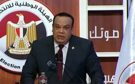 الخميس المقبل.. الوطنية للانتخابات تعلن النتيجة النهائية لجولة الإعادة بانتخابات مجلس الشيوخ