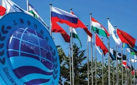 منظمة شنجهاي تدين سقوط ضحايا مدنيين في غزة وتدعو لوقف الحرب