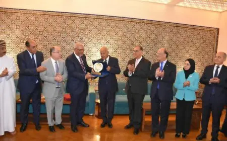 بحضور أبو الغيط.. السفراء العرب يكرمون مندوب مصر بالجامعة العربية
