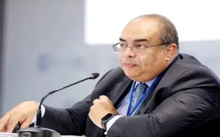 محيي الدين يدعو لمسار اقتصادي جديد.. فهل حان وقت فك الارتباط مع صندوق النقد؟