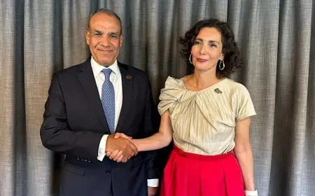 مصر تشدد على أهمية اتخاذ الاتحاد الأوروبي خطوات فعالة للضغط على إسرائيل