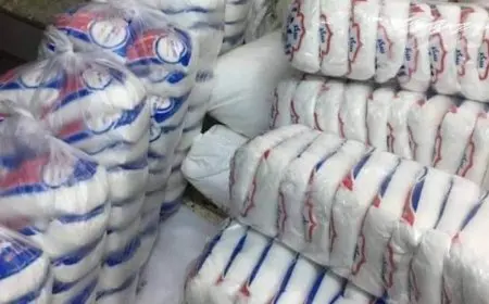 نقيب الزراعيين: حققنا الاكتفاء الذاتي من السكر هذا العام.. ونتجه غالبا للتصدير