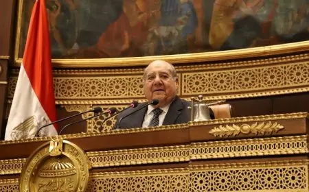 رئيس مجلس الشيوخ يهنئ الرئيس السيسي بذكرى المولد النبوي الشريف