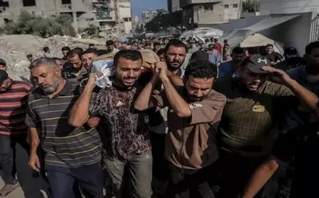 أكبر جمعية دولية: إسرائيل استوفت المعايير القانونية لارتكاب إبادة جماعية في غزة