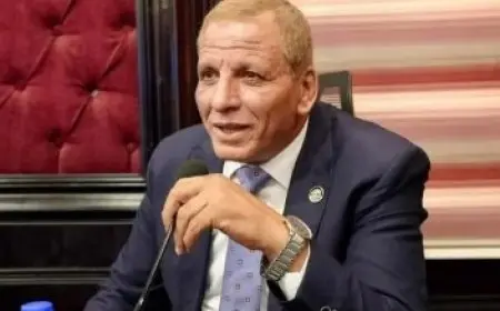 عضو القوى العاملة بالنواب: بدء تطبيق قانون العمل الجديد نقلة نوعية لحماية حقوق العمال