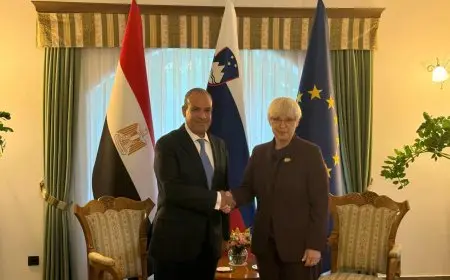 وزير الخارجية يوجه الدعوة إلى رئيسة سلوفينيا لزيارة مصر وحضور حفل افتتاح المتحف المصري الكبير