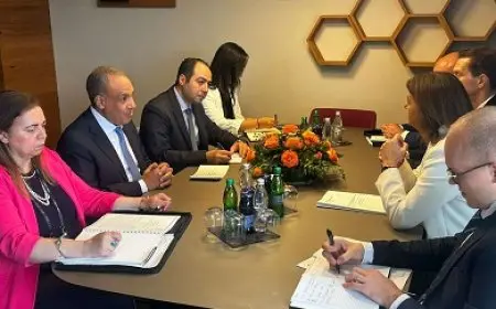 وزير الخارجية يؤكد ضرورة تضافر الجهود الإقليمية والدولية لتحقيق وقف فوري وشامل لإطلاق النار في غزة