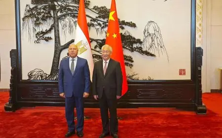 مصر والصين تؤكدان تعزيز الشراكة الاستراتيجية والتعاون في النقل والصناعة