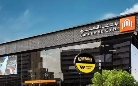 أرباح بنك القاهرة ترتفع 31% إلى 7.5 مليار جنيه في 6 أشهر