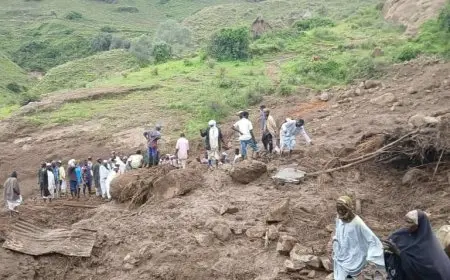 شيخ الأزهر ينعى ضحايا كارثة جبل مرة ويدعو المجتمع الدولي لدعم السودان