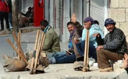 نائب رئيس اتحاد عمال مصر: قانون العمل الجديد يساعد العمالة غير المنتظمة اقتصاديا واجتماعيا