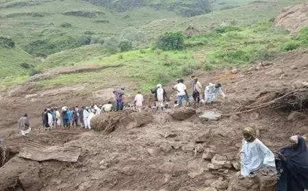 السودان يطلب مساعدة دولية لانتشال جثث ضحايا الانهيار الأرضي في درافور