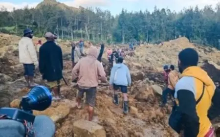 السودان يطلب المساعدة بعد انهيار أرضي أودي بحياة ألف شخص في قرية واحدة بدارفور