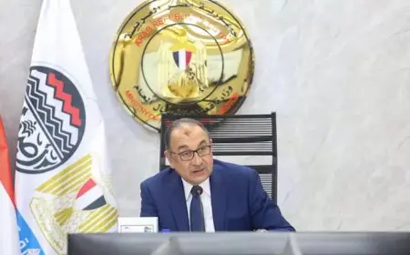 الكيميائي سعد هلال قائمًا بأعمال العضو المنتدب للشركة القابضة للصناعات الكيماوية