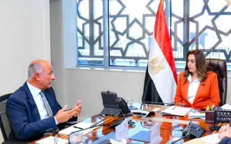وزيرة التنمية المحلية تلتقي مساعد وزير الخارجية لشئون المناخ لمتابعة مشاركة مصر في قمة (COP30) بالبرازيل