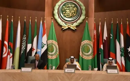 أبو الغيط: الحفاظ على مشروع الدولة الفلسطينية العنوان الأهم للمرحلة القادمة