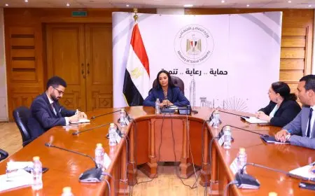 وزيرة التضامن تترأس اجتماعا لمتابعة أعمال الحصر الوطني للحضانات