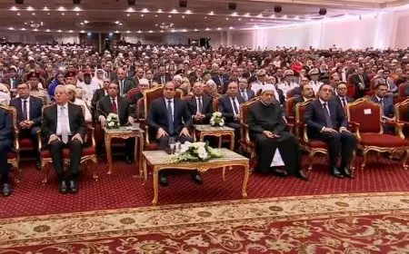 شيخ الأزهر للرئيس السيسي: نقدر موقفكم لحماية القضية الفلسطينية ورفضكم لمؤامرات التهجير