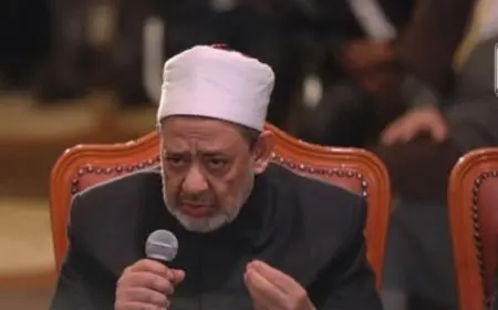شيخ الأزهر: ندعم موقف الرئيس السيسي الرافض لذوبان القضية الفلسطينية