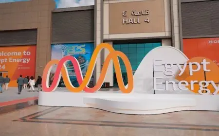 وزارة الطاقة الإماراتية تشارك في الدورة الـ 34 من معرض مصر للطاقة