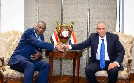 وزير الخارجية يؤكد رفض مصر الكامل لكل المحاولات الرامية لتهديد وحدة السودان ومؤسساته الوطنية
