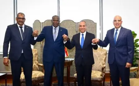 مصر والسودان يتفقان على ضرورة تأمين الأمن المائي لدولتي المصب