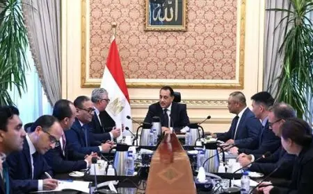 رئيس الوزراء يلتقي رئيس شركة إيليت سولار الصينية المصنعة لمكونات محطات الطاقة الشمسية والرياح