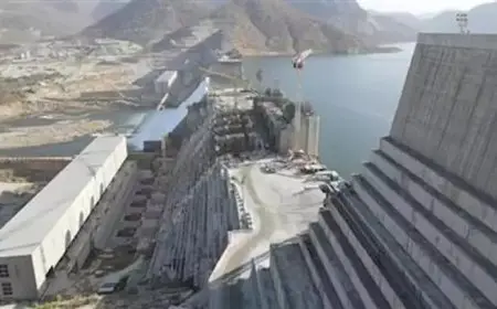 مصر والسودان يؤكدان رفضهما إقحام باقي دول حوض النيل في أزمة سد النهضة