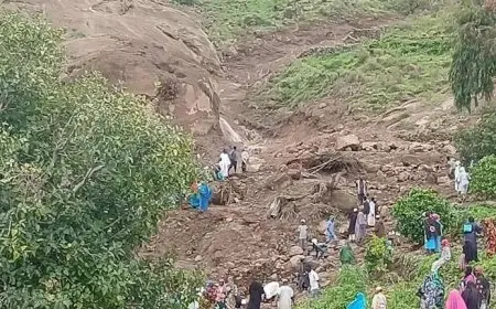 السودان: انتشال 100 جثة من ضحايا الانهيار الأرضي في دارفور