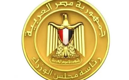 متحدثة اللجنة الطبية بالوزراء تكشف تفاصيل إنقاذ الطفلة رودينا من مضاعفات التهاب الأعصاب الطرفية