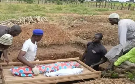 بينهم نساء وأطفال.. مصرع 29 شخصا إثر غرق قارب في نيجيريا