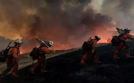 600 رجل إطفاء يحاولون إخماد النيران.. حرائق الغابات تجتاح بلدة تاريخية في كاليفورنيا الأمريكية