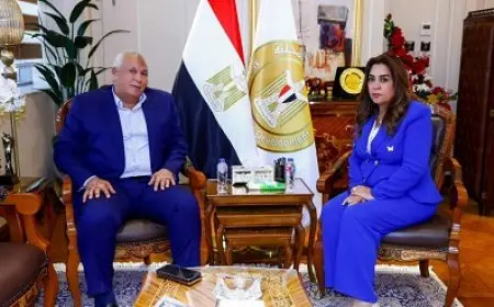 وزيرة التنمية المحلية تبحث مع محافظ الوادي الجديد خطة إنشاء مركز إنتاج الحرير الطبيعي بالخارجة