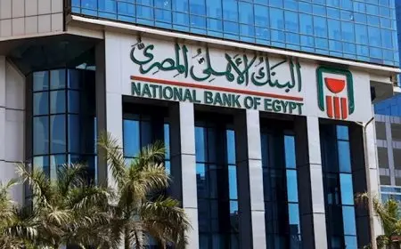 شهادة البنك الأهلي ذات العائد الشهري.. خطوات الشراء من الموبايل البنكي اليوم
