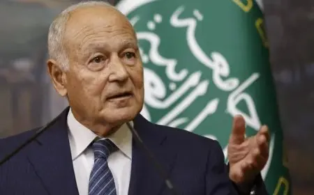 أمين جامعة الدول العربية: قرار الحكومة اللبنانية بحصر السلاح شجاع