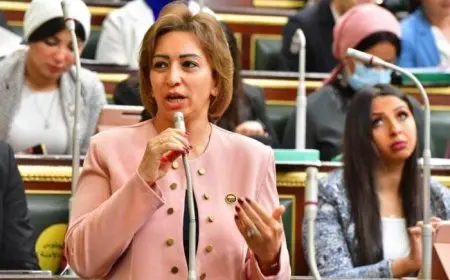 النائبة مها عبد الناصر تعلق على أداء الحكومة: لا تستجيب لأي مقترحات