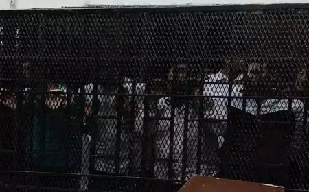 لعبة الضمان الوهمي.. قرار من الجنايات في نهب 41 مليونا من شركة تداول شهيرة