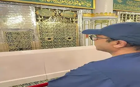 محمد هنيدي يحتفل بالمولد النبوي من أمام الروضة الشريفة