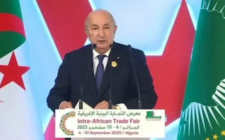 منها الاستثمار والتجارة.. الرئيس الجزائري يتحدث عن 4 تحديات تواجه الدول الأفريقية