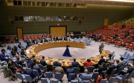 مجلس الأمن يؤكد أهمية التقدم نحو توحيد المؤسسات في ليبيا