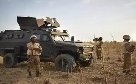 خبير سياسي: إفريقيا متضررة من الحرب الأوكرانية الروسية بسبب الإرهاب