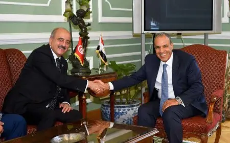 توافق مصري تونسي على ضرورة الوقف الفوري للعدوان الإسرائيلى الغاشم على قطاع غزة