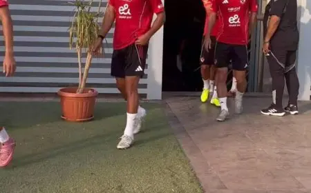 عبد القادر يعود لتدريبات الأهلي